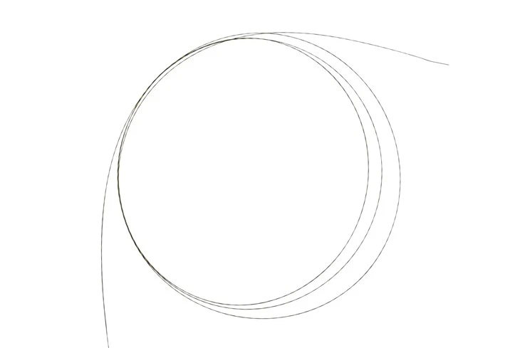 OEM Disposable Zebra Guide Wire